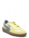 PUMA - Palermo Pop - Madala s&auml;&auml;rega sporditossud - 42.5