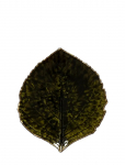 Costa Nova - Bladfad Hydrangea S - Dekoratiivsed vaagnad - 17.2X 15CM