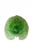 Costa Nova - Bladfad Alchemille - Dekoratiivsed vaagnad - 17.6X 17CM