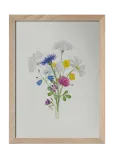 Kunskapstavlan&reg; - Sju Sorters Blommor - Botaanika - A4