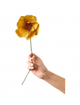 Studio About - Paper Flower - Kuivatatud ja kunstlilled - ONE SIZE