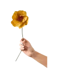 Studio About - Paper Flower - Kuivatatud ja kunstlilled - ONE SIZE