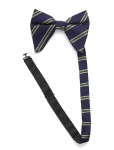 AN IVY - Striped Oversized Bow Tie - Kikilipsud - ONE SIZE