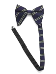 AN IVY - Striped Oversized Bow Tie - Kikilipsud - ONE SIZE
