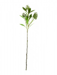 House Doctor - Artificial Branch, Hdligustrum, Gre - Kuivatatud ja kunstlilled - 15X 70CM