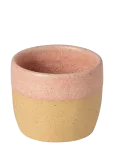Costa Nova - Arenito Espresso Cup - Espressotassid - ONE SIZE