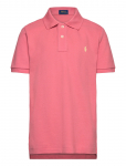 Ralph Lauren Kids - Basic Mesh-Ss Kc-Tp-Knt - L&uuml;hikeste varrukatega polos&auml;rgid - 117-123