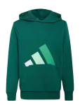 Adidas Sportswear - J Bl Ft Hd 280 - Kapuutsiga pusad - 164