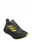 Adidas Performance - Ultraboost 5 Gtx - Spordi jooksujalatsid - 40