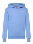 Champion - Hooded Sweatshirt - Kapuutsiga pusad - 174-179