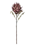 Bloomingville - Protea Stem - Kuivatatud ja kunstlilled - H76CM