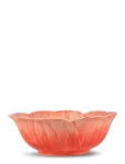 Byon - Bowl Poppy M - Hommikus&ouml;&ouml;gikausid - 6 DL