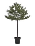 House Doctor - Christmas Tree, Hdpeuce, Nature - J&otilde;ulupuud - ONE SIZE