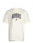 Adidas Sportswear - J Colleg T - L&uuml;hikeste varrukatega - 140