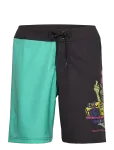 Santa Cruz - Johnson Beast Wagon Boardshort - L&uuml;hikesed p&uuml;ksid - 28