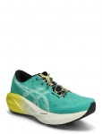 Asics - Novablast 5 Tr - Spordi jooksujalatsid - 44.5
