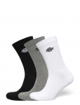 Dickies - Summerdale 3Pk - Tavalised sokid - 39-42
