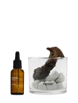 Meraki - Diffuser, Mklavastone & Wood - Herb - &Otilde;lilambid - 30 ML