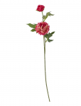 Bloomingville - Chrysantemum Stem - Kuivatatud ja kunstlilled - H47CM