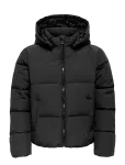 Kids Only - Kogdolly Life Sht Puffer Jacket Otw Noos - Tepitud ja polsterdatud - 146