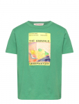 THE ANIMALS OBSERVATORY - Big Rooster Kid T-Shirt Green 8Y - T-shirts - 10 Y