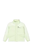 PICTURE ORGANIC CLOTHING - Zonk Jkt - Spordi polsterdatud jakid - M