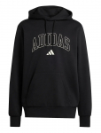 Adidas Sportswear - M Collegiate Hd - Spordi kapuutsiga pusad - XXL