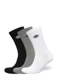 Dickies - Summerdale 3Pk - Tavalised sokid - 43-46