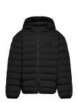 EA7 - Bomber Jacket - Polsterdatud jakid - 164