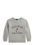 Ralph Lauren Kids - Polo Bear Fleece Sweatshirt - Dressipluusid - 88-93