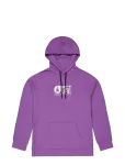 PICTURE ORGANIC CLOTHING - Basement Hoodie - Spordi kapuutsiga pusad - M
