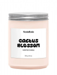 Kosta Boda - Mind Doftljus 550Gr Cactus Blossom - L&otilde;hnak&uuml;&uuml;nlad - 10.2
