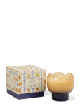 Paddywax - Doftljus Tulpan I Tonat Glas - Orange/Bl&aring;  - Garden & Grove - L&otilde;hnak&uuml;&uuml;nlad - 8.5X8.5X9CM