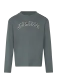 Jack & Jones - Jjecaleb Varsity Tee Ls O-Neck Sn Mni - Pikkade varrukatega T-s&auml;rgid - 116