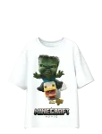 Name It - Nkmnif Minecraft Ss Nreg Top Lnoos Bfu - L&uuml;hikeste varrukatega - 146-152