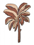 Bongusta - Bounty Rug - Muud vaibad - ONE SIZE 160 cm