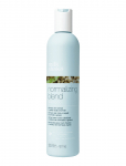 Milk_Shake - Ms Normalizing Blend Sh 300 Ml - &Scaron;ampoonid - 300 ml