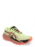 Asics - Trabuco 14 - Spordi jooksujalatsid - 40.5