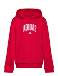 Adidas Sportswear - J Colleg Hd - Kapuutsiga pusad - 164