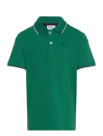 Champion - Polo - Spordi l&uuml;hikeste varrukatega polos&auml;rgid - 116