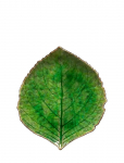 Costa Nova - Bladfad Hydrangea S - Dekoratiivsed vaagnad - 17.2X 15CM