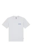 Dickies - Dry Ridge Ss Tee - L&uuml;hikeste varrukatega - XS