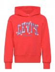 Levi's - Levi's&reg; Graphic Logo Oversized Hoodie - Kapuutsiga pusad - 152