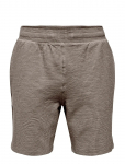 ONLY & SONS - Onskian Life Reg Seers. Strp Shorts Vd - Vabaaja l&uuml;hikesed p&uuml;ksid - L
