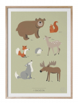 Kunskapstavlan&reg; - I Skogen - Posters - 50X70CM