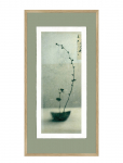 Incado - Artist Paper - Growing - Botaanika - 52X102CM x 102