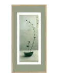 Incado - Artist Paper - Growing - Botaanika - 52X102CM x 102