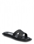 Steve Madden - Sofia - Madalad sandaalid - 38