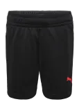 PUMA - Individualliga Training Shorts Jr - Spordi l&uuml;hikesed p&uuml;ksid - 164