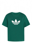 Adidas Originals - Trefoil Boxy T - Spordi T-s&auml;rgid - XL